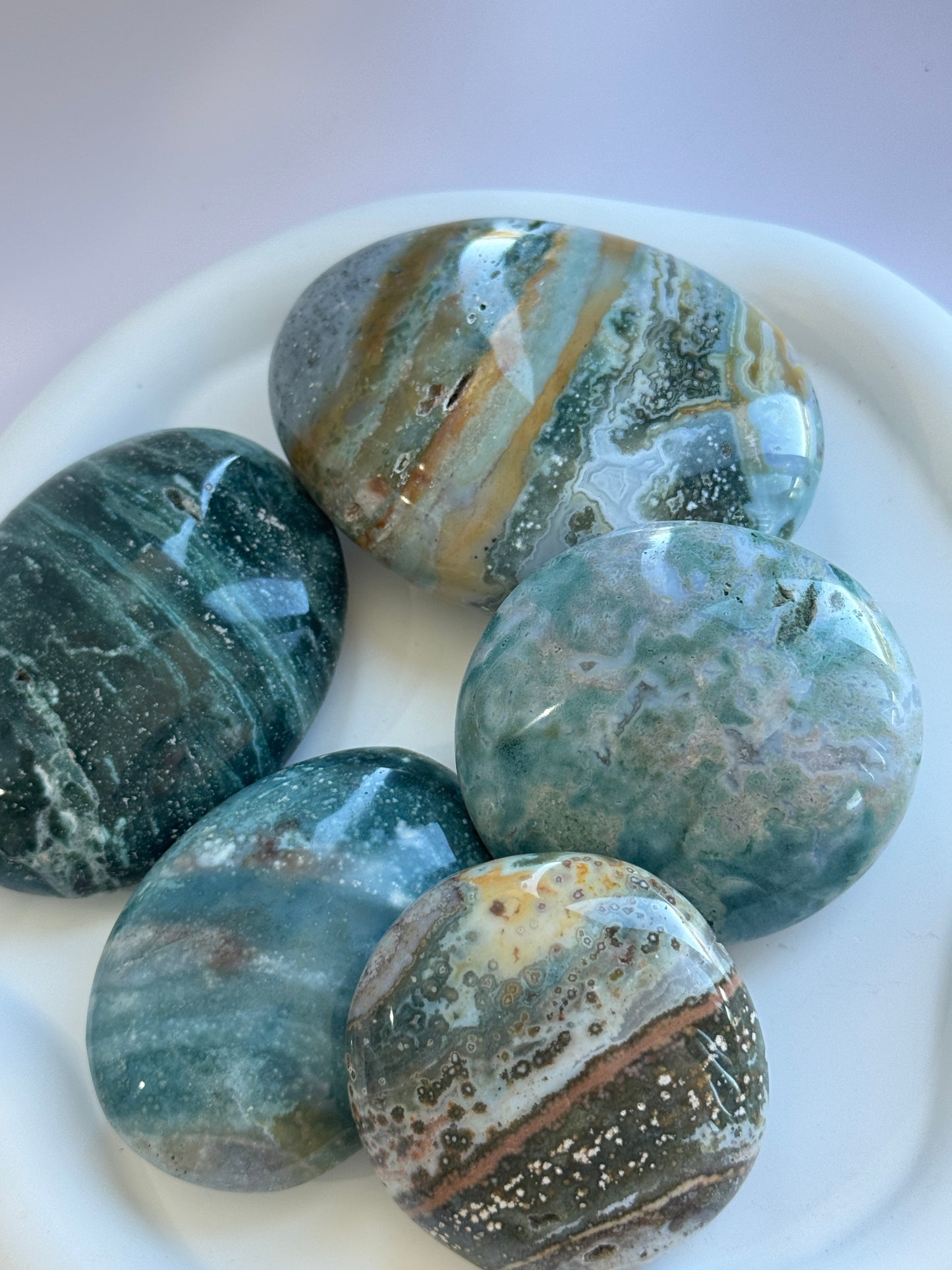 Ocean Jasper Palmstone - B