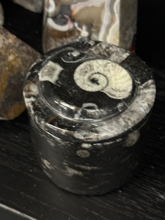 Nautiloid Trinket Box