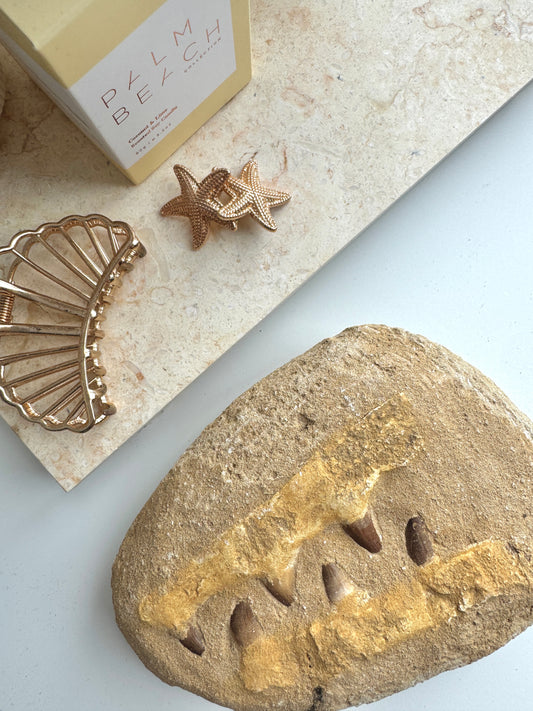 Mossasaur Jaw in Matrix